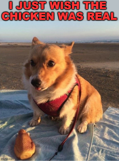 I JUST WISH THE 
CHICKEN WAS REAL | image tagged in dogs | made w/ Imgflip meme maker