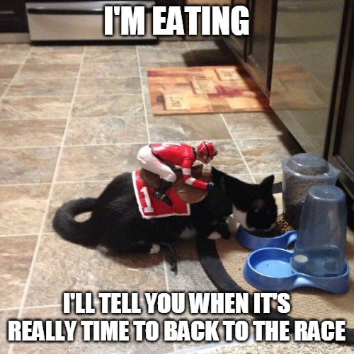 I'M EATING; I'LL TELL YOU WHEN IT'S REALLY TIME TO BACK TO THE RACE | image tagged in memes,cat,cats,Catmemes | made w/ Imgflip meme maker