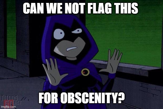 Can We Not Raven | CAN WE NOT FLAG THIS FOR OBSCENITY? | image tagged in can we not raven | made w/ Imgflip meme maker