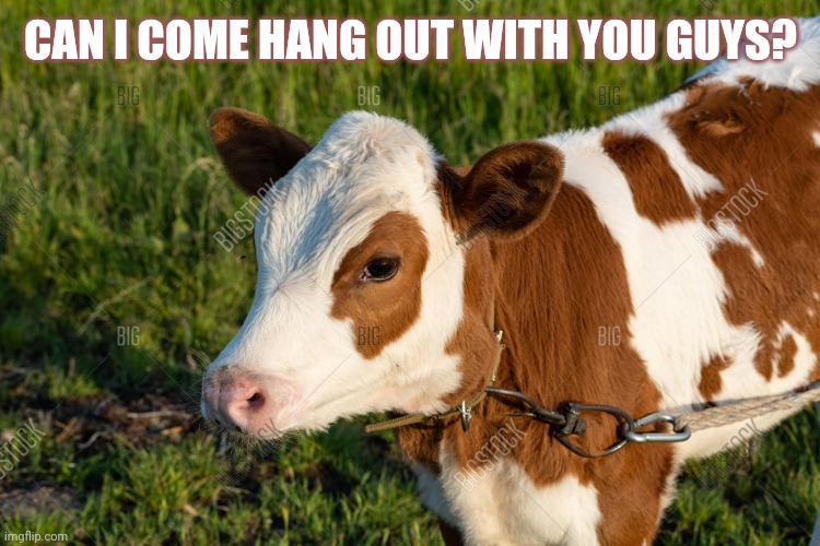 CAN I COME HANG OUT WITH YOU GUYS? | made w/ Imgflip meme maker