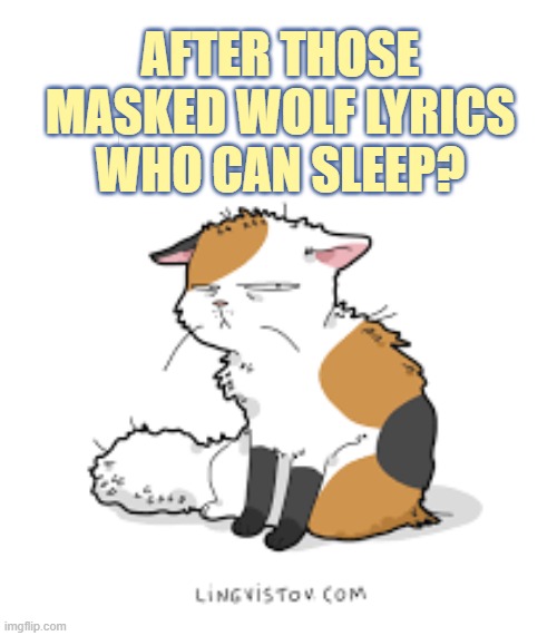 AFTER THOSE MASKED WOLF LYRICS WHO CAN SLEEP? | made w/ Imgflip meme maker