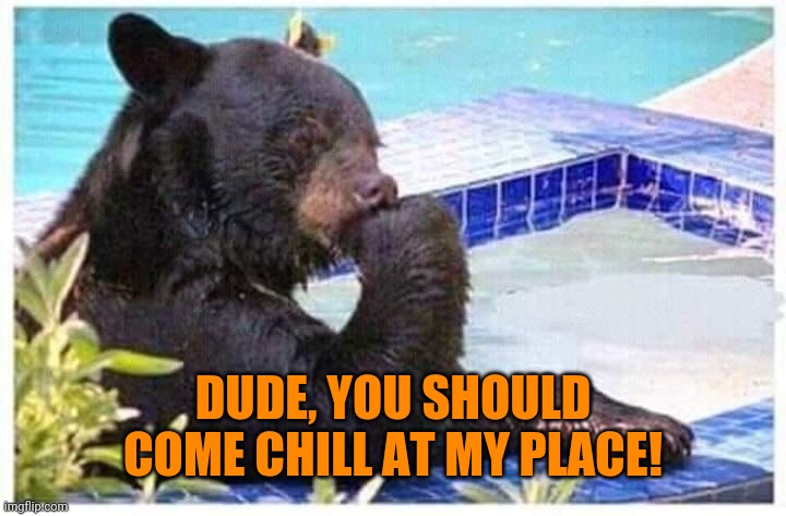 Thinking bear | DUDE, YOU SHOULD COME CHILL AT MY PLACE! | image tagged in thinking bear | made w/ Imgflip meme maker