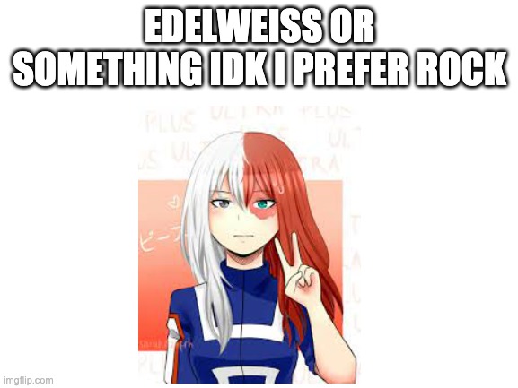 Blank White Template | EDELWEISS OR SOMETHING IDK I PREFER ROCK | image tagged in blank white template,fire emblem,rwby,my hero academia,music | made w/ Imgflip meme maker