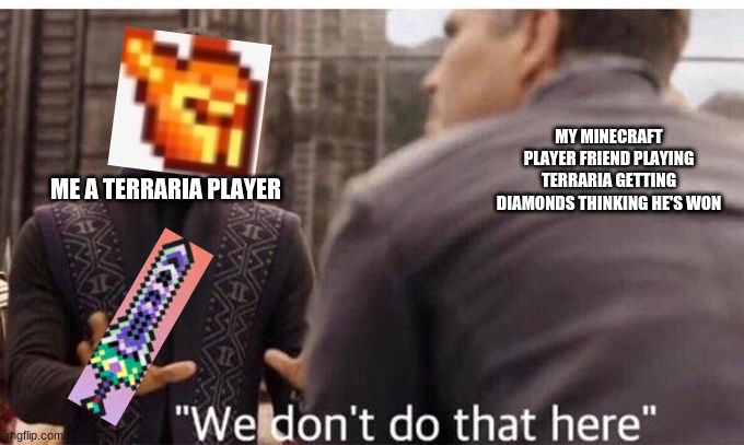 We dont do that here | MY MINECRAFT PLAYER FRIEND PLAYING TERRARIA GETTING DIAMONDS THINKING HE'S WON; ME A TERRARIA PLAYER | image tagged in we dont do that here | made w/ Imgflip meme maker