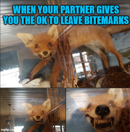 Bite It, You Scum! | WHEN YOUR PARTNER GIVES YOU THE OK TO LEAVE BITEMARKS | image tagged in gg allin,bite me,bad taxidermy,fox,does he bite | made w/ Imgflip meme maker