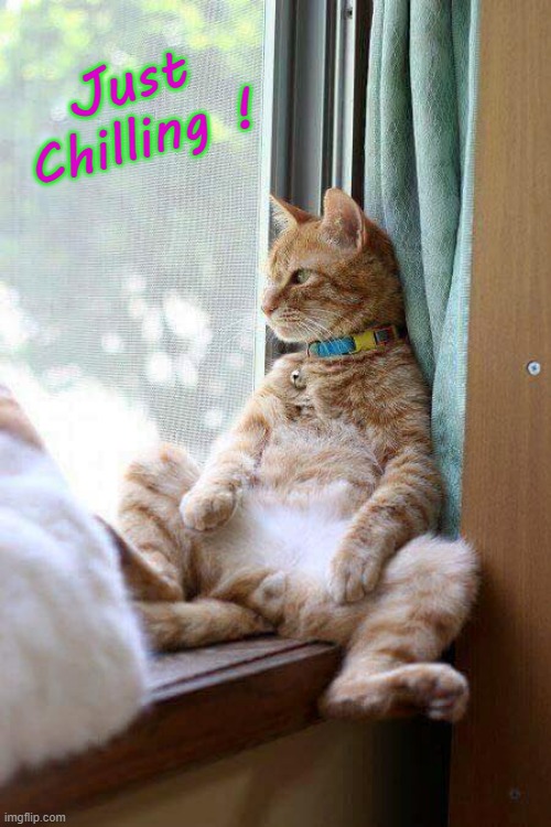 Just Chilling ! | Just
Chilling ! | image tagged in amogus | made w/ Imgflip meme maker