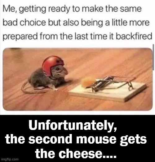 Bad Choices Usually Don't End Well | Unfortunately, the second mouse gets
the cheese.... | image tagged in fun,funny,life lessons,life is hard | made w/ Imgflip meme maker