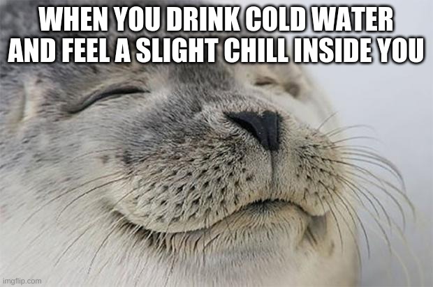 Is it just me? | WHEN YOU DRINK COLD WATER AND FEEL A SLIGHT CHILL INSIDE YOU | image tagged in memes,satisfied seal | made w/ Imgflip meme maker