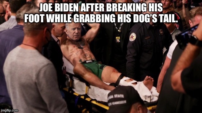Joe needs to let it go | JOE BIDEN AFTER BREAKING HIS FOOT WHILE GRABBING HIS DOG’S TAIL. | image tagged in joe biden broken foot,memes,dog,tail,ufc,broken leg | made w/ Imgflip meme maker