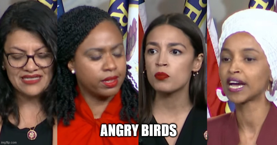 AOC Squad | ANGRY BIRDS | image tagged in aoc squad | made w/ Imgflip meme maker