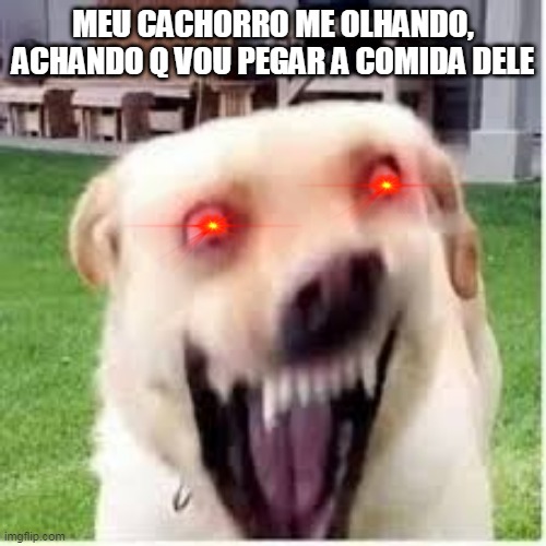 MEU CACHORRO ME OLHANDO, ACHANDO Q VOU PEGAR A COMIDA DELE | made w/ Imgflip meme maker