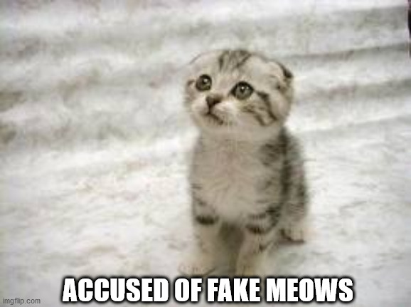 Sad Cat Meme | ACCUSED OF FAKE MEOWS | image tagged in memes,sad cat | made w/ Imgflip meme maker