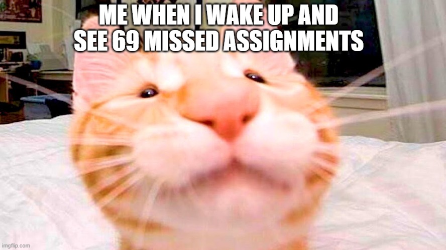 when big assignment | ME WHEN I WAKE UP AND SEE 69 MISSED ASSIGNMENTS | image tagged in school meme | made w/ Imgflip meme maker