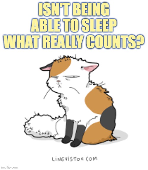 ISN'T BEING ABLE TO SLEEP WHAT REALLY COUNTS? | made w/ Imgflip meme maker