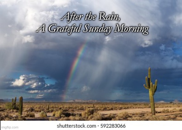 After the Rain | After the Rain, 
A Grateful Sunday Morning | image tagged in desert rain,sunday morning | made w/ Imgflip meme maker