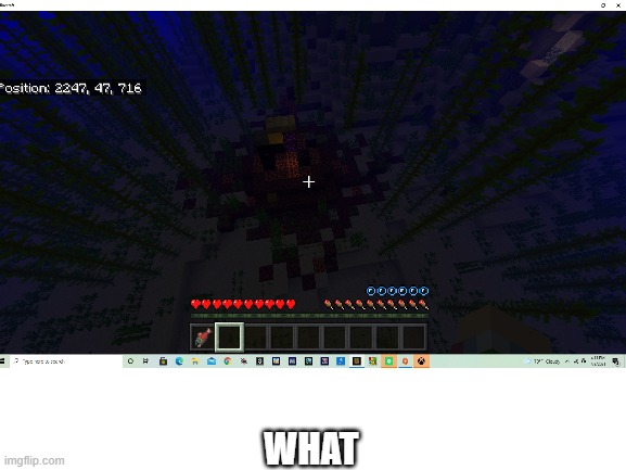 nether ruins underwater | WHAT | image tagged in original meme,minecraft | made w/ Imgflip meme maker