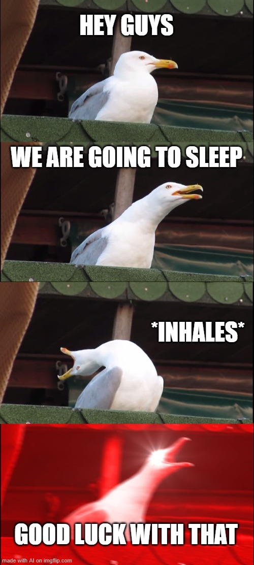 AI on sleeping in [random AI generated meme] | HEY GUYS; WE ARE GOING TO SLEEP; *INHALES*; GOOD LUCK WITH THAT | image tagged in memes,inhaling seagull,sleeping,noise,birds,ai meme | made w/ Imgflip meme maker