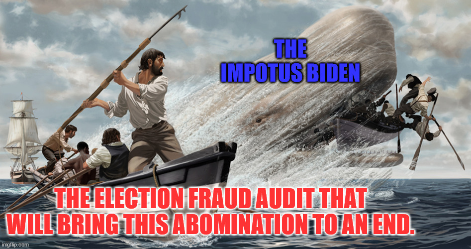 Ahab harpooning the white whale | THE IMPOTUS BIDEN; THE ELECTION FRAUD AUDIT THAT WILL BRING THIS ABOMINATION TO AN END. | image tagged in ahab harpooning the white whale | made w/ Imgflip meme maker