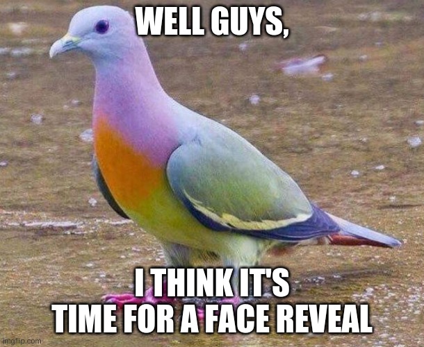 face reveal | WELL GUYS, I THINK IT'S TIME FOR A FACE REVEAL | image tagged in skittles,pigeon | made w/ Imgflip meme maker