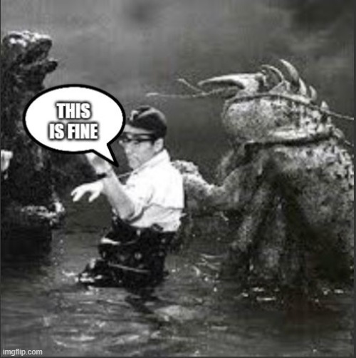 This is fine | image tagged in this is fine toho | made w/ Imgflip meme maker