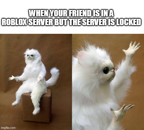 bruh moment |  WHEN YOUR FRIEND IS IN A ROBLOX SERVER BUT THE SERVER IS LOCKED | image tagged in memes,persian cat room guardian | made w/ Imgflip meme maker
