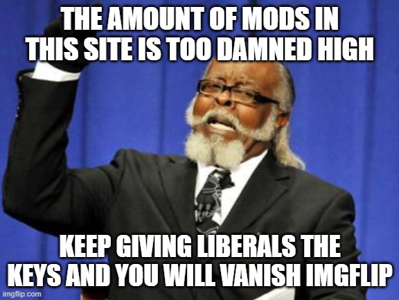 Too Damn High | THE AMOUNT OF MODS IN THIS SITE IS TOO DAMNED HIGH; KEEP GIVING LIBERALS THE KEYS AND YOU WILL VANISH IMGFLIP | image tagged in memes,too damn high | made w/ Imgflip meme maker