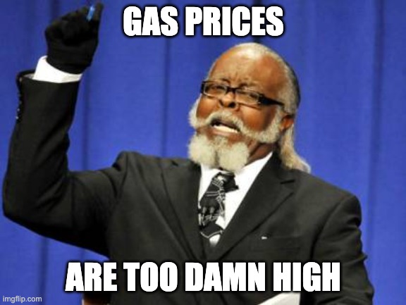 Like seriously, $3 a gallon? I remember when it was half that! | GAS PRICES; ARE TOO DAMN HIGH | image tagged in memes,too damn high | made w/ Imgflip meme maker