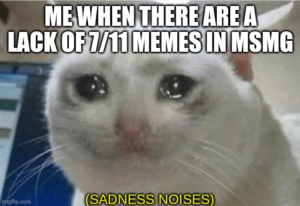 sadness noises | ME WHEN THERE ARE A LACK OF 7/11 MEMES IN MSMG | image tagged in sadness noises | made w/ Imgflip meme maker