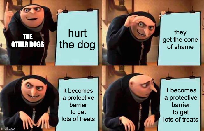 Gru's Plan Meme | hurt the dog they get the cone of shame it becomes a protective barrier to get lots of treats it becomes a protective barrier to get lots of | image tagged in memes,gru's plan | made w/ Imgflip meme maker