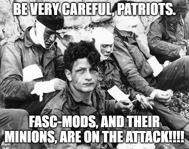 Be Careful, Patriots | BE VERY CAREFUL, PATRIOTS. FASC-MODS, AND THEIR MINIONS, ARE ON THE ATTACK!!!! | image tagged in nwo,censorship,leftist terrorism | made w/ Imgflip meme maker