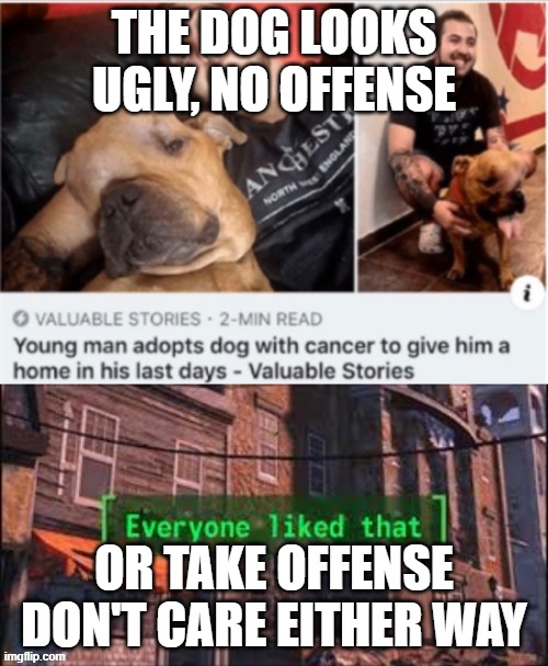 Mean meme | THE DOG LOOKS UGLY, NO OFFENSE; OR TAKE OFFENSE DON'T CARE EITHER WAY | image tagged in true | made w/ Imgflip meme maker