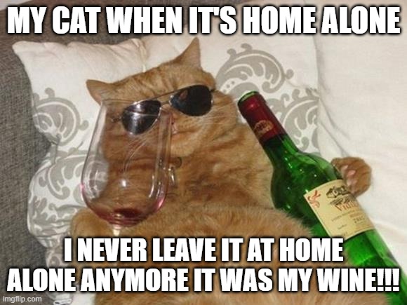 The Cat Is Home Alone | MY CAT WHEN IT'S HOME ALONE; I NEVER LEAVE IT AT HOME ALONE ANYMORE IT WAS MY WINE!!! | image tagged in funny cat birthday | made w/ Imgflip meme maker