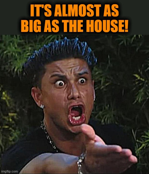 DJ Pauly D Meme | IT'S ALMOST AS BIG AS THE HOUSE! | image tagged in memes,dj pauly d | made w/ Imgflip meme maker