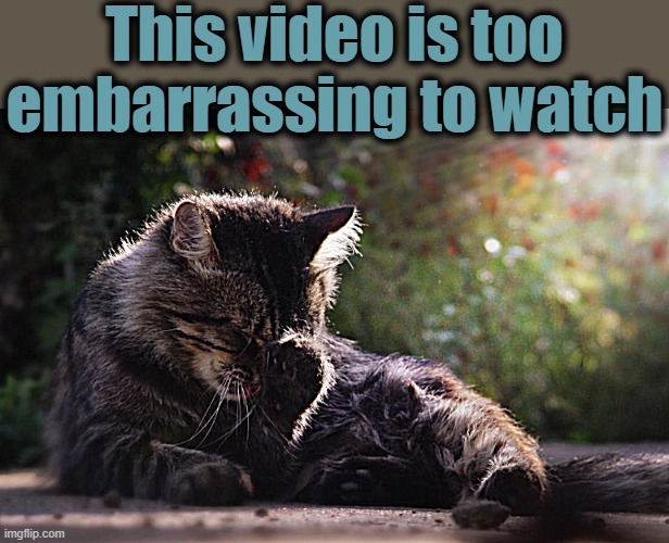 This video is too embarrassing to watch | made w/ Imgflip meme maker