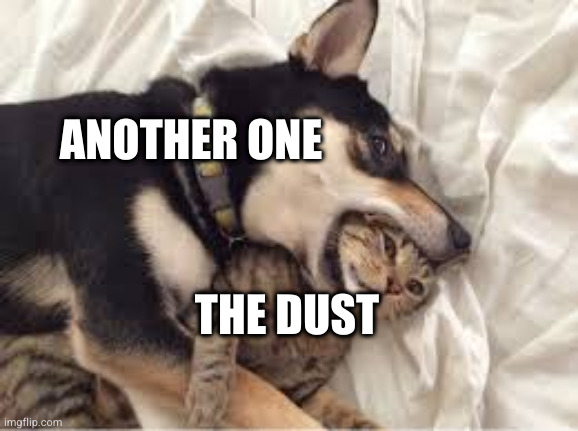 Another one Bites The dust. | ANOTHER ONE; THE DUST | image tagged in another one bites the dust | made w/ Imgflip meme maker