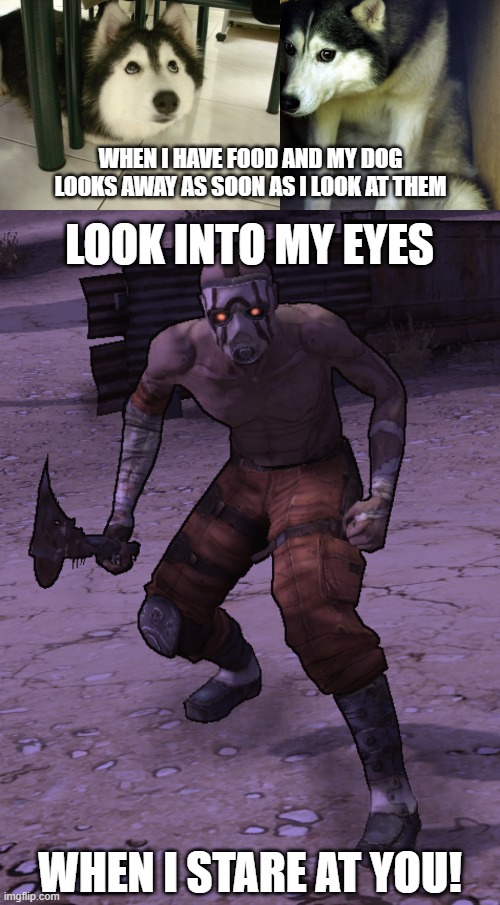 Hypocritical Dog |  WHEN I HAVE FOOD AND MY DOG LOOKS AWAY AS SOON AS I LOOK AT THEM; LOOK INTO MY EYES; WHEN I STARE AT YOU! | image tagged in borderlands,dog,food | made w/ Imgflip meme maker