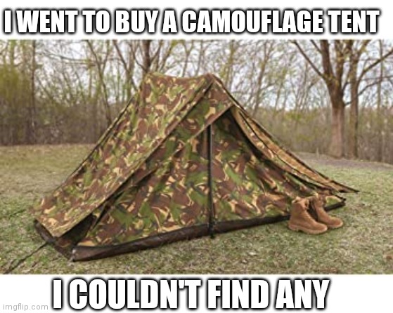 GOT A NICE PAIR OF BOOTS THOUGH | I WENT TO BUY A CAMOUFLAGE TENT; I COULDN'T FIND ANY | image tagged in camping,tent,camp,camouflage,camo,eyeroll | made w/ Imgflip meme maker