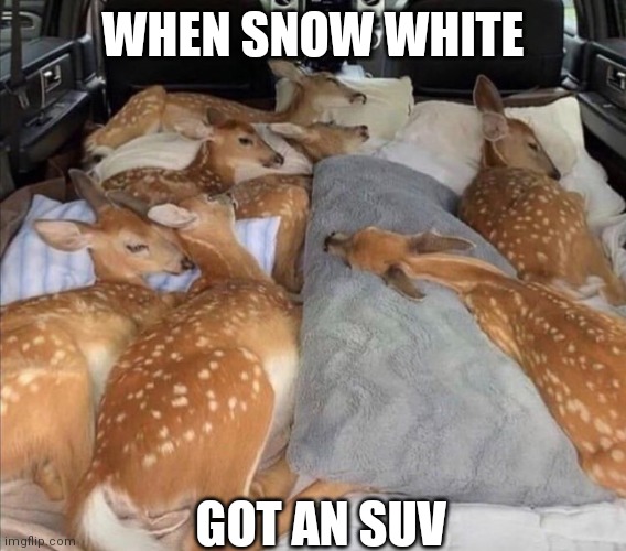 WHERE'S THUMPER? | WHEN SNOW WHITE; GOT AN SUV | image tagged in snow white,suv,deer | made w/ Imgflip meme maker