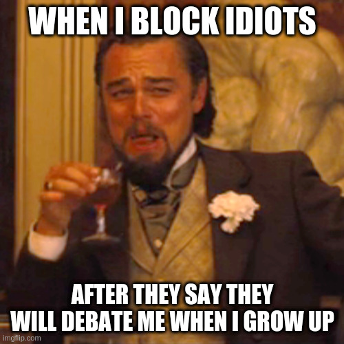 If you insult me don't be surprised if I stop replying | WHEN I BLOCK IDIOTS; AFTER THEY SAY THEY WILL DEBATE ME WHEN I GROW UP | image tagged in memes,laughing leo,debate,ageism | made w/ Imgflip meme maker