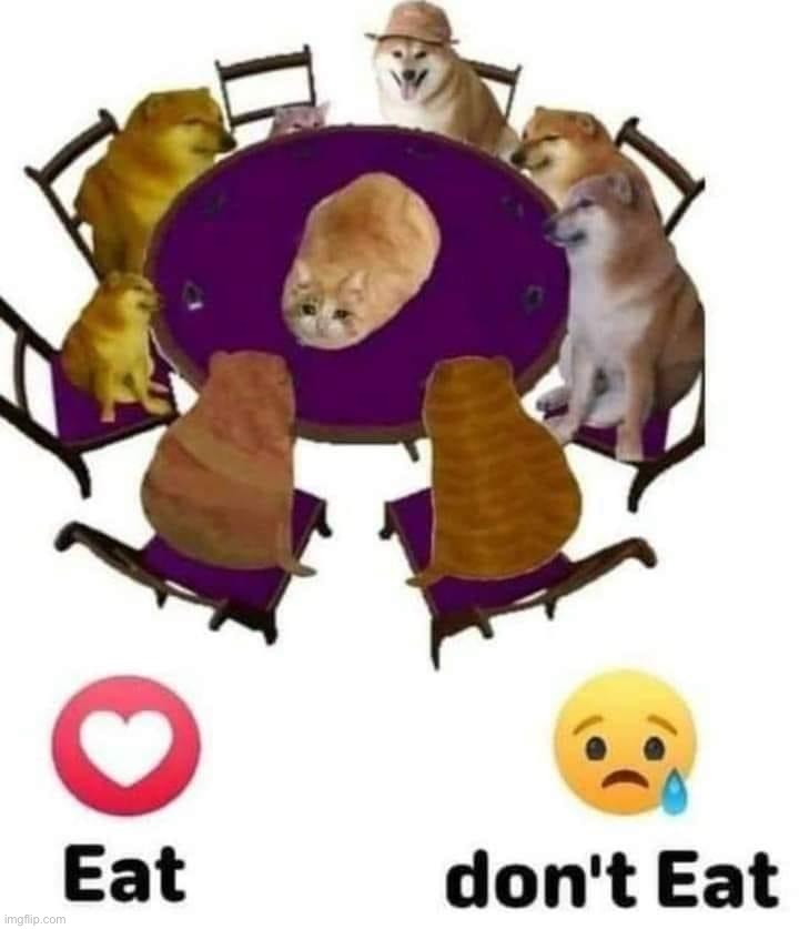 wot | image tagged in cheems feast,cheems,feast,doge,repost,wot | made w/ Imgflip meme maker
