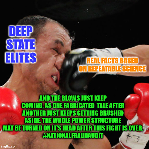 Boxer Getting Punched In The Face | DEEP STATE ELITES; REAL FACTS BASED ON REPEATABLE SCIENCE; AND THE BLOWS JUST KEEP COMING, AS ONE FABRICATED  TALE AFTER ANOTHER JUST KEEPS GETTING BRUSHED ASIDE. THE WHOLE POWER STRUCTURE MAY BE TURNED ON IT'S HEAD AFTER THIS FIGHT IS OVER.
#NATIONALFRAUDAUDIT | image tagged in boxer getting punched in the face | made w/ Imgflip meme maker