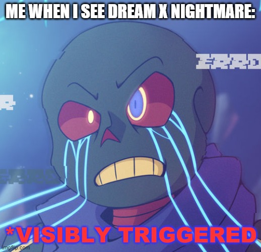 I'm not kidding. D R E A M M A R E I S T E R R I B LE! (And that's an understatement) | ME WHEN I SEE DREAM X NIGHTMARE: | image tagged in dude stop | made w/ Imgflip meme maker