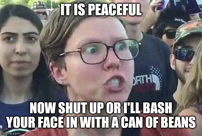 Triggered Liberal | IT IS PEACEFUL NOW SHUT UP OR I'LL BASH YOUR FACE IN WITH A CAN OF BEANS | image tagged in triggered liberal | made w/ Imgflip meme maker