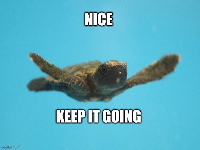 Keep going | NICE KEEP IT GOING | image tagged in keep going | made w/ Imgflip meme maker