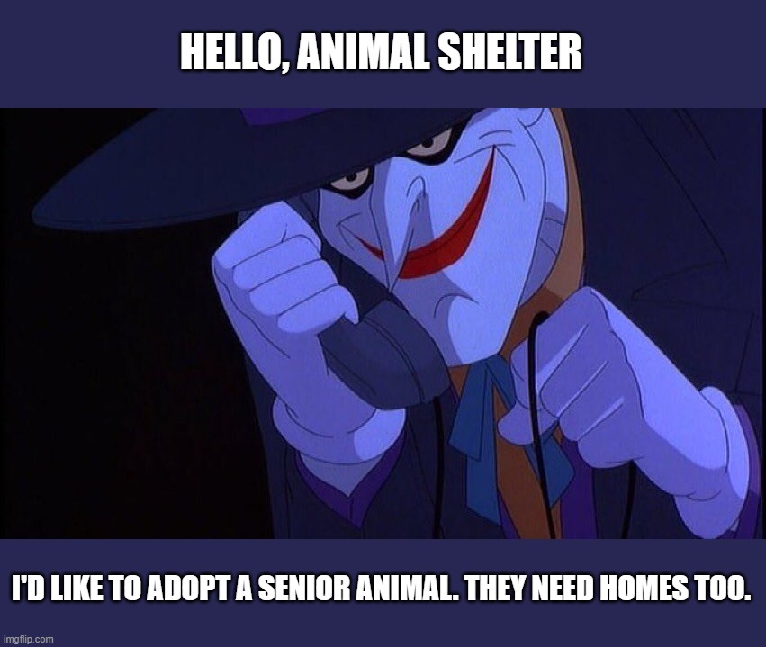 Joker Phone Call | HELLO, ANIMAL SHELTER; I'D LIKE TO ADOPT A SENIOR ANIMAL. THEY NEED HOMES TOO. | image tagged in joker phone call | made w/ Imgflip meme maker