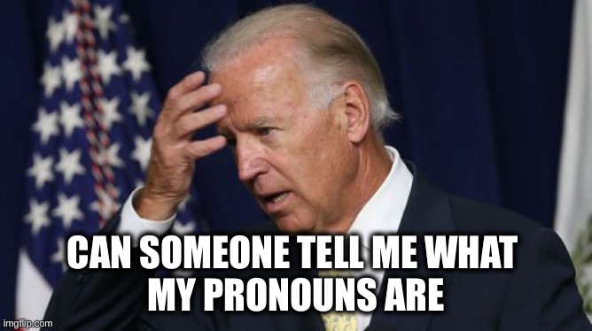 Joe Biden worries | CAN SOMEONE TELL ME WHAT 
MY PRONOUNS ARE | image tagged in joe biden worries | made w/ Imgflip meme maker