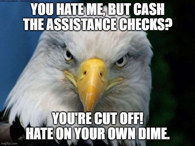 Hate'n on the U.S. | YOU HATE ME, BUT CASH THE ASSISTANCE CHECKS? YOU'RE CUT OFF! HATE ON YOUR OWN DIME. | image tagged in american bald eagle | made w/ Imgflip meme maker