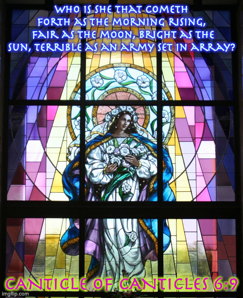 Little Office of the B.V.M. Little Chapter-Prime Christmas to Advent | Who is she that cometh forth as the morning rising,
 fair as the moon, bright as the sun, terrible as an army set in array? CANTICLE OF CANTICLES 6:9 | made w/ Imgflip meme maker