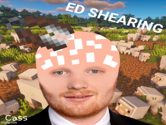 ed sheering | image tagged in ed sheeran,minecraft | made w/ Imgflip meme maker