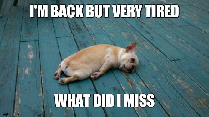 Will be back by tonight | I'M BACK BUT VERY TIRED; WHAT DID I MISS | image tagged in tired dog | made w/ Imgflip meme maker